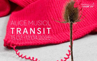 Alice Musiol – Transit