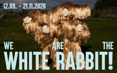 We Are The White Rabbit!