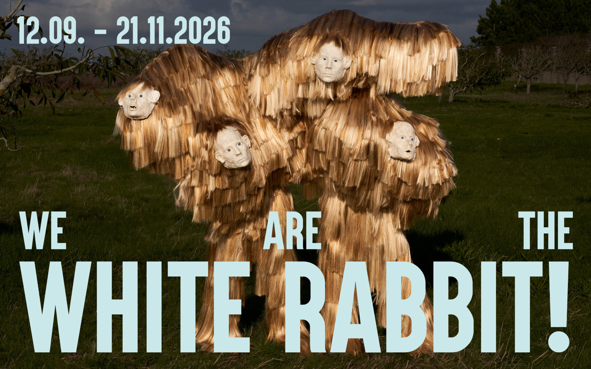 We Are The White Rabbit!